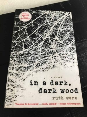 in a dark dark wood
