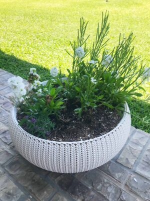 amazon removable planter with liner
