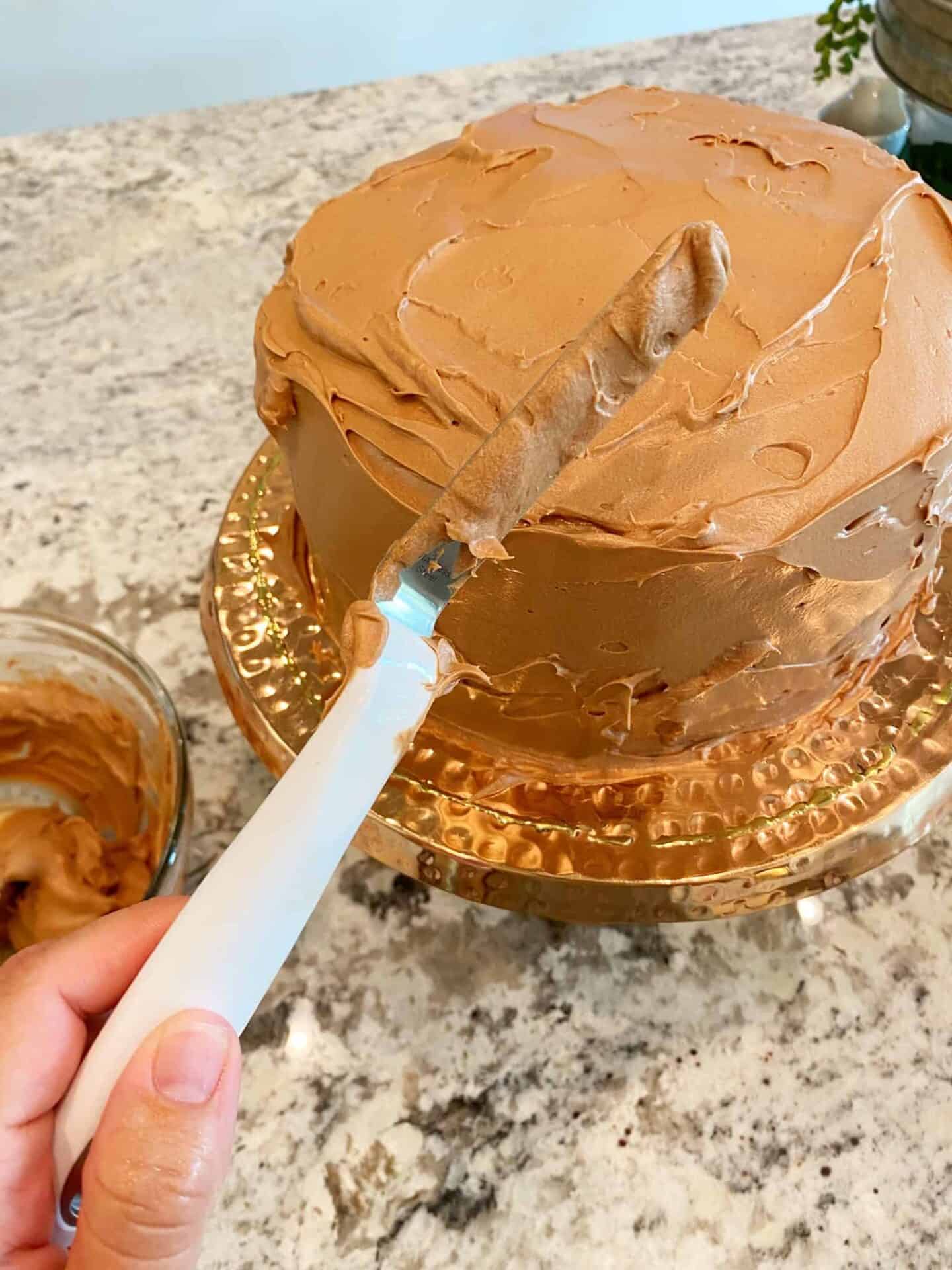 Best-Ever-Chocolate-Cake-frosting-done