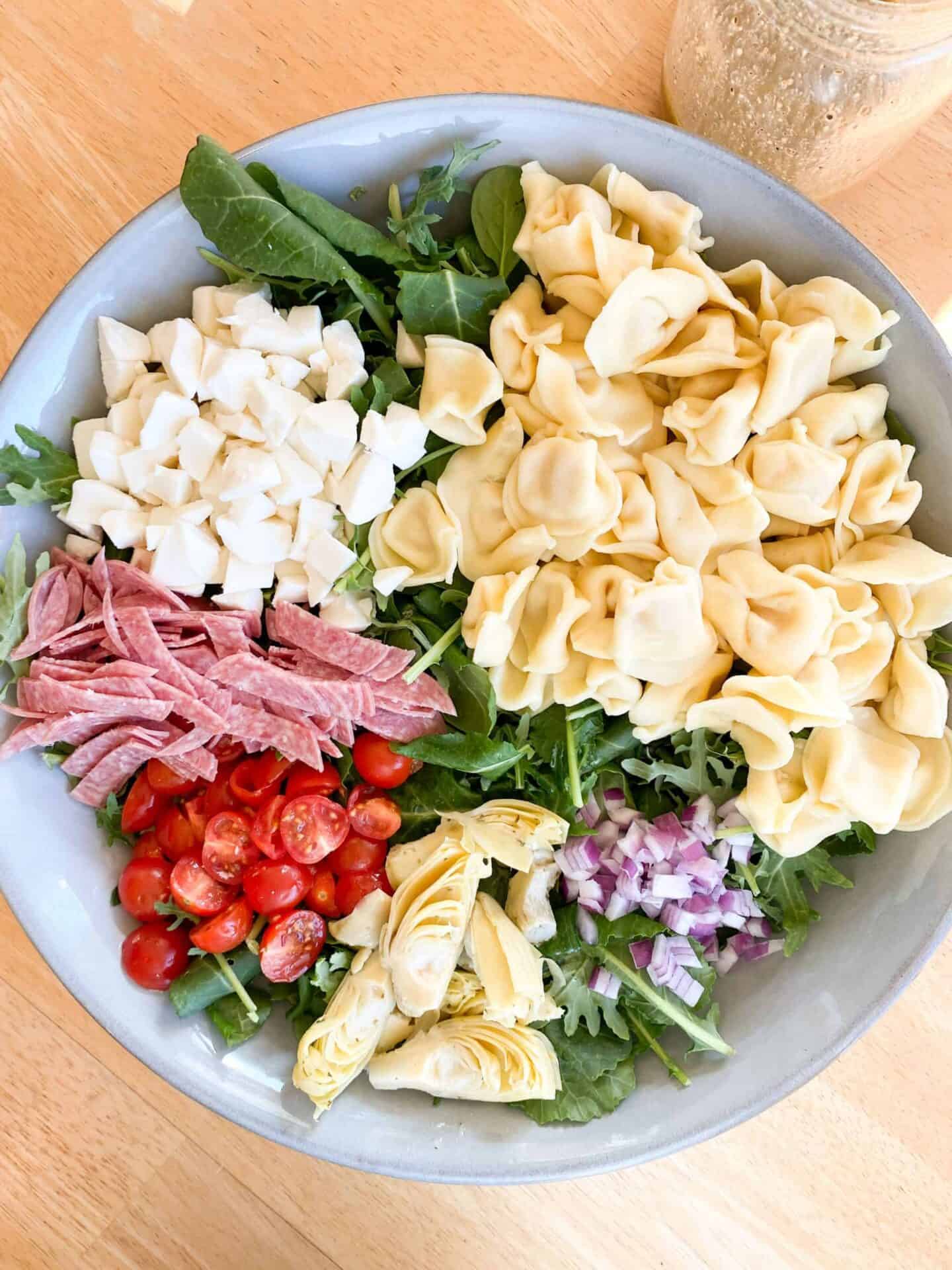Tortellini-and-Antipasto-Salad-with-Italian-Vinaigrette