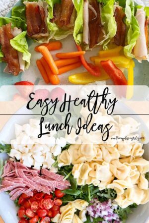 Easy-Healthy-Lunch-Ideas