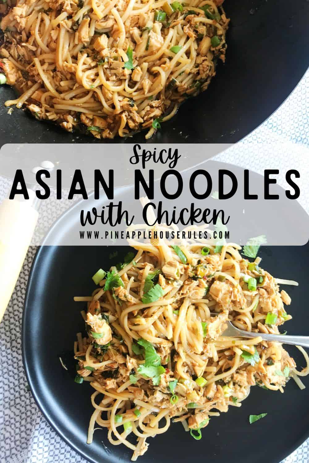 Spicy Asian Noodles with Chicken is a delicious, easy dinner recipe that's healthy and can even be Gluten Free! Spicy Asian Noodles with Chicken | Asian Noodles | Asian Noodles Recipe | Asian Noodles with Chicken | Asian Noodles Sauce | Asian Noodles Stir Fry | Rice Noodle Recipes | Rice Noodle Recipes Easy | Rice Noodle Dishes | Rice Noodle Bowl | Rice Noodle Meal Prep | Gluten Free Recipes | Easy Healthy Dinner Ideas | Dinner Recipes Healthy | Dinner Recipes Easy Healthy