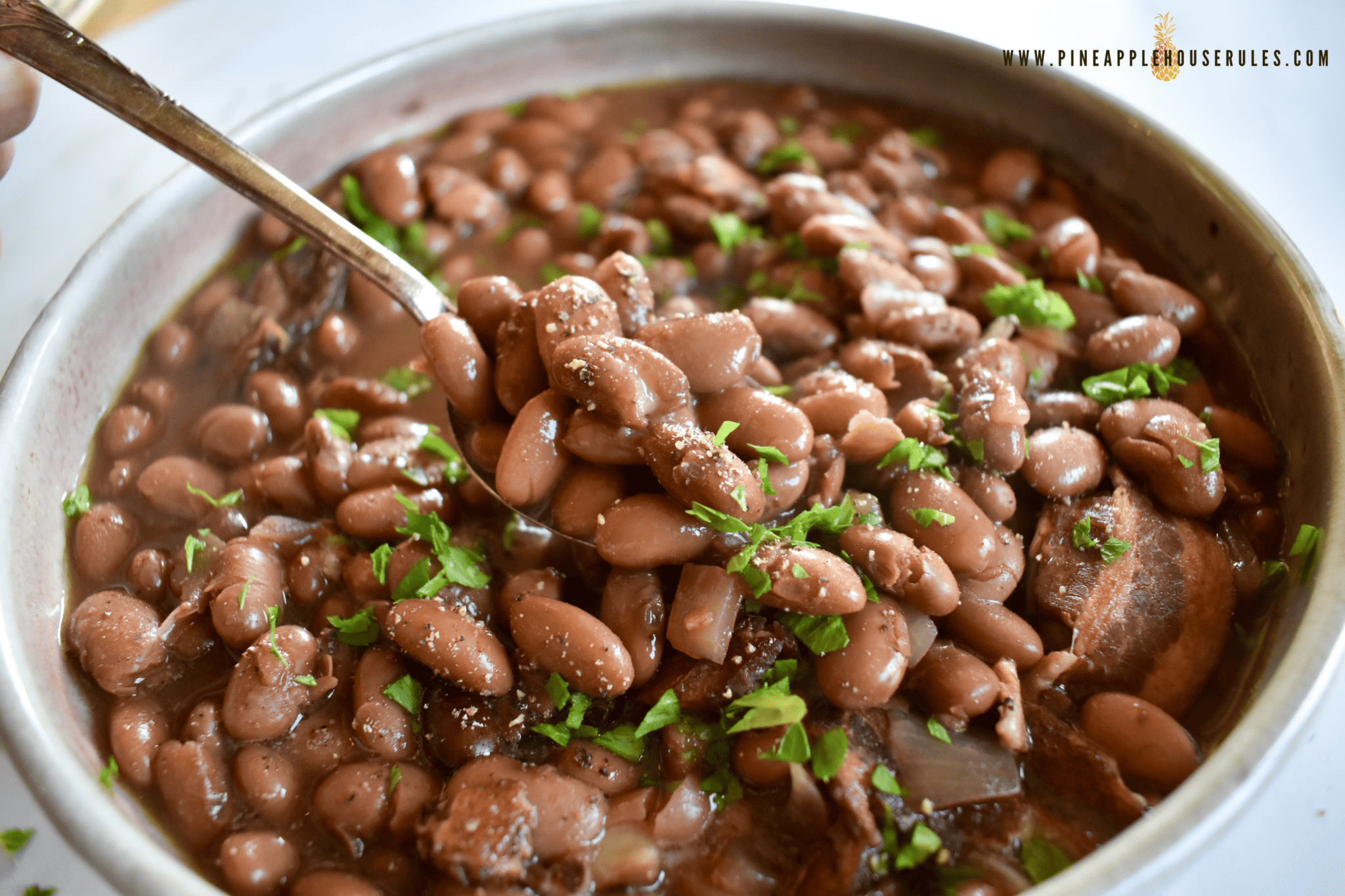 Slow Cooker Pinto Beans