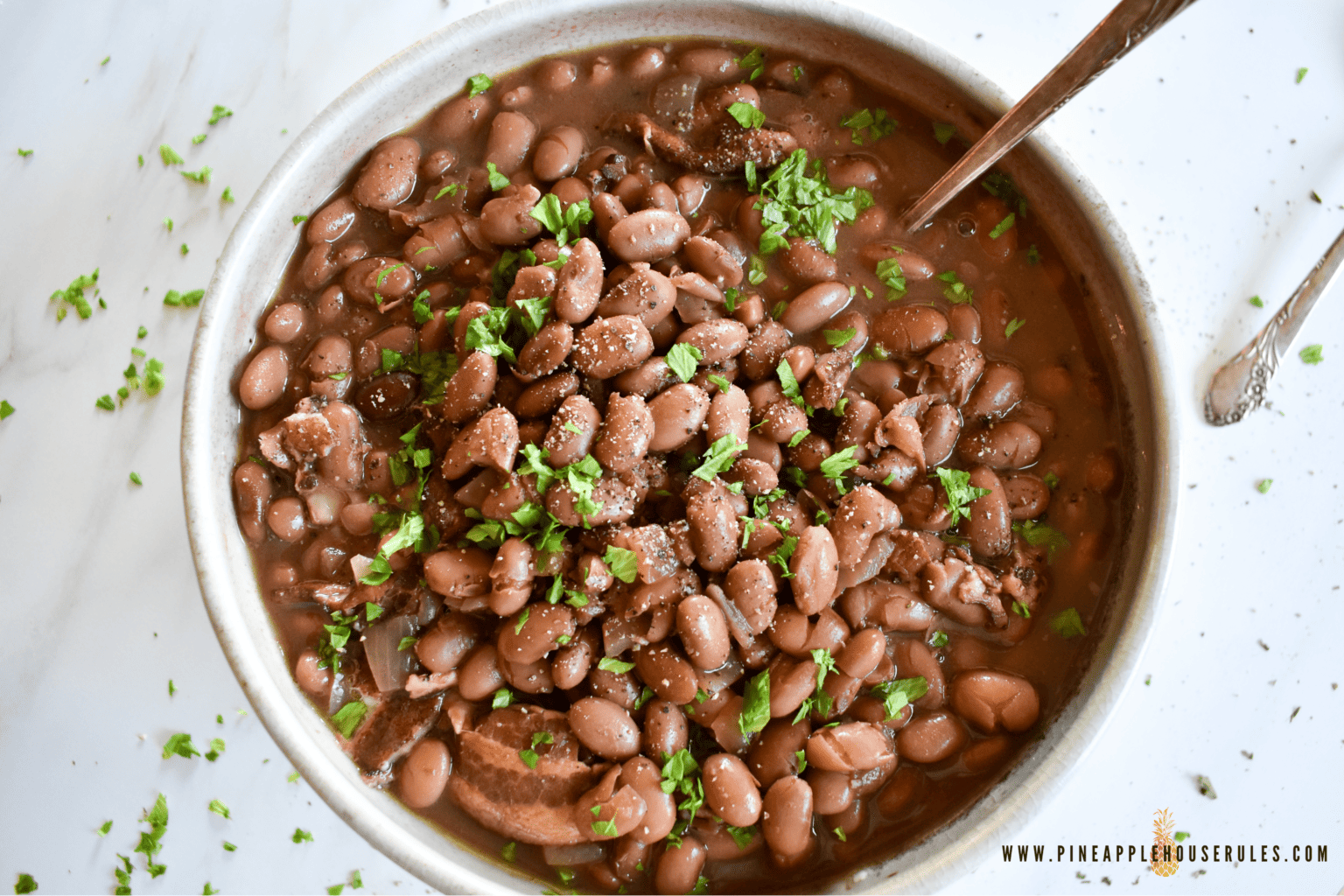Slow Cooker Pinto Beans
