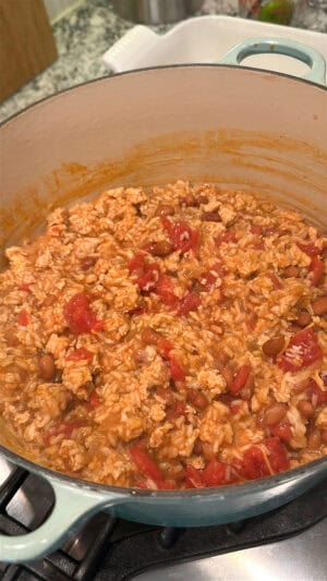 chicken enchilada casserole mixture